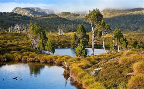 HD wallpaper: Tasmania, Australia, lake, mountains, grass, trees, water, shrubs | Wallpaper Flare