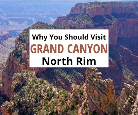 Grand Canyon North Rim Day Trip and Why You Should Go