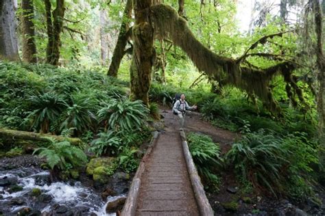 Hiking the Hoh Rainforest | Camping for Women