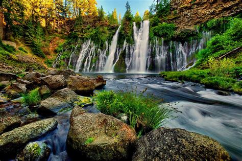 Download Forest Waterfall Nature Burney Falls Image