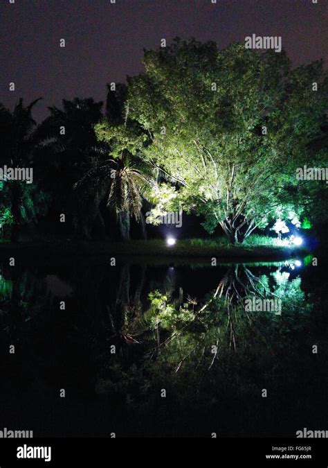 Illuminated Lights In Park At Night Stock Photo - Alamy