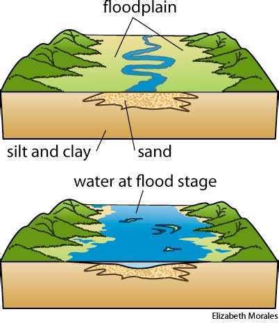 Floodplain dictionary definition | floodplain defined