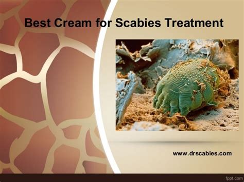 Best Cream for Scabies Treatment