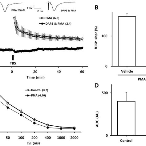 Involvement of NMDA receptors in PMA-induced facilitation of LTP and... | Download Scientific ...