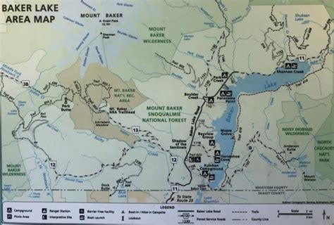 Baker Lake Trail reopens following closure due to cougar activity | Environment | goskagit.com