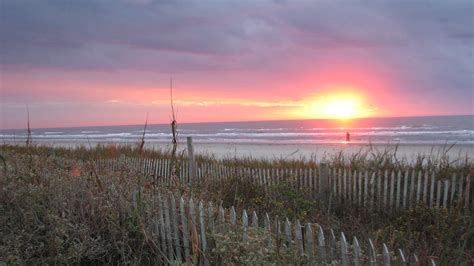 Galveston Island State Park...the place that heals my soul. | Galveston, Galveston island, Beach