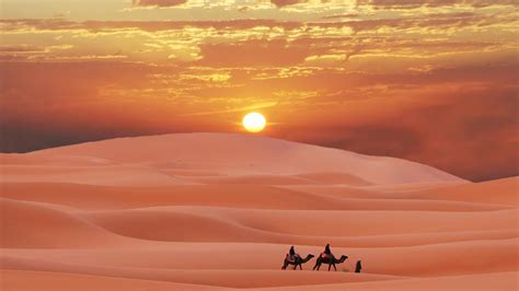 🥇 Sahara desert sunset wallpaper | (43154)