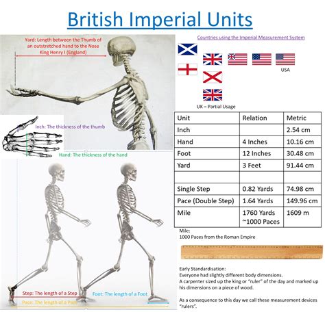 History of Measurement: Imperial Units - Windows 10 Installation Guides