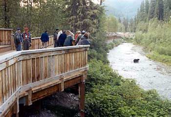 Photograph of Fish Creek wildlife viewing platform with people leaning ...