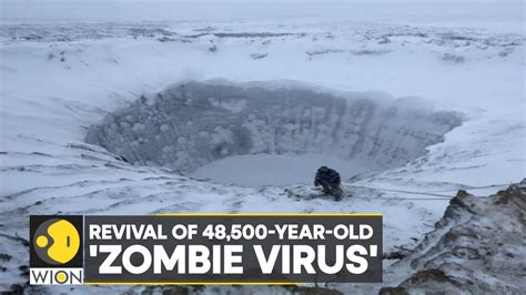 WION Climate Tracker: Scientists revive 48,500-year-old ‘zombie virus’ buried in ice | English ...