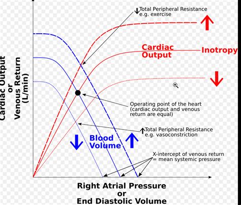 Ppt Cardiac Output Blood Flow And Blood Pressure Powerpoint