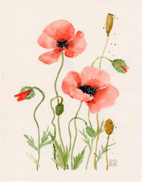 Floral Art Watercolor painting Original Flower art Red poppies