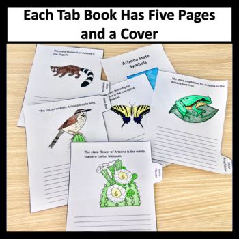 Arizona State Symbols and United States Symbols Tab Books | TPT