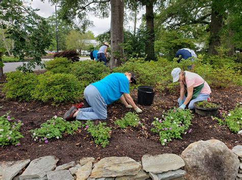 Friends of the Arboretum - Volunteer