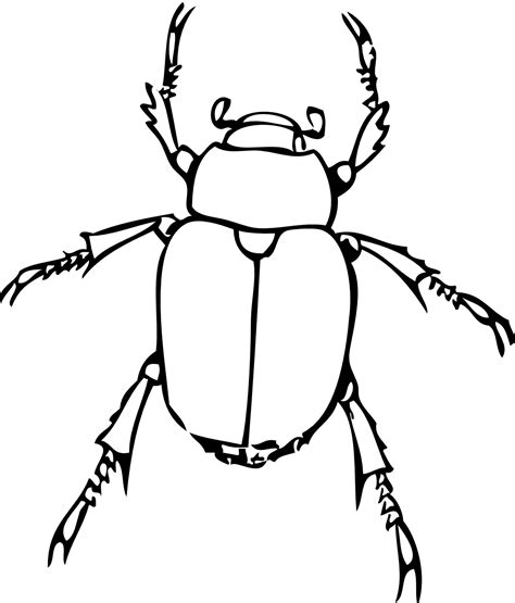 bug line drawing | Colorful drawings, Drawings, Bug art