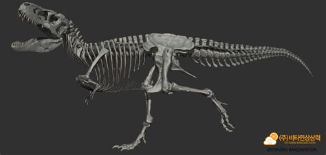 Vitamin Imagination - Tarbosaurus skeleton