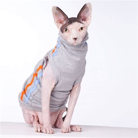 TRACK SUIT – Heather Grey – Sphynx Cat Wear