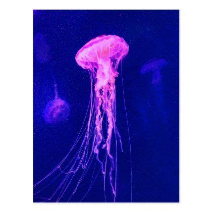 Neon Pink Jellyfish Postcard | Zazzle.com | Pink jellyfish, Neon pink, Photography gifts diy