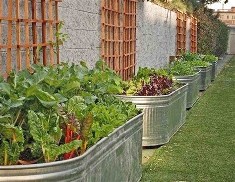 42+ Gorgeous Vegetable Gardens Images