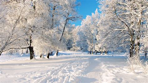 2560X1440 Snow Wallpapers - Top Free 2560X1440 Snow Backgrounds ...