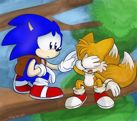 🧡Tailsy🧡 on Twitter | Sonic satam, Hedgehog art, Sonic fan characters