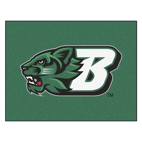 Binghamton University Mascot - All Are Here