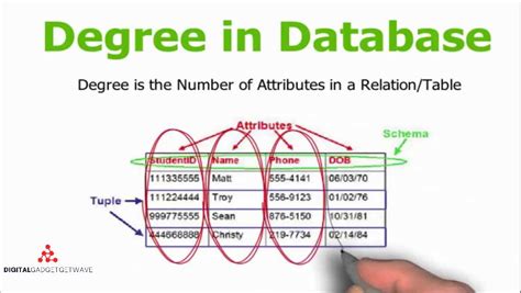 Tuples in Database: An Overview of their Structure and Uses - [Updated September 2024 ]