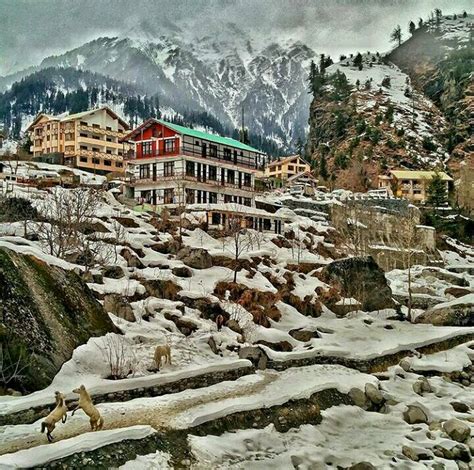 kufri shimla top place to visit in himachal - Walking Wanderer