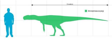 Monolophosaurus | A Chinese Middle Jurassic Predator