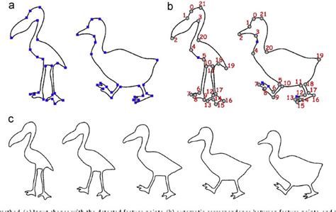 Morphing in animation: Detailed Explain and Guide