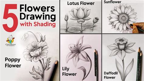 5 Flowers Drawing with Pencil Shading Easy Step By Step - YouTube