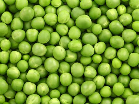 Why Green Peas are Healthy and Nutritious