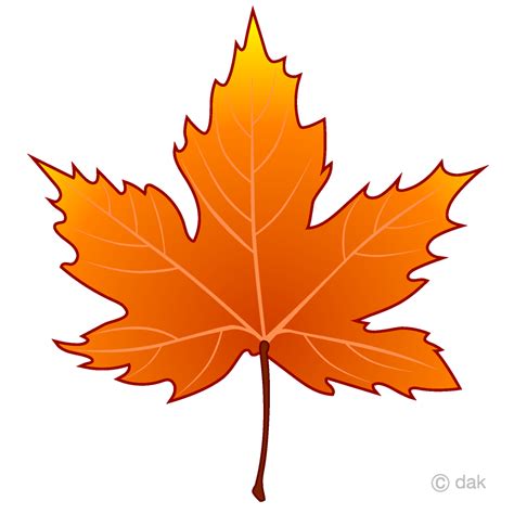 Orange Maple Leaf Clip Art Free PNG Image｜Illustoon