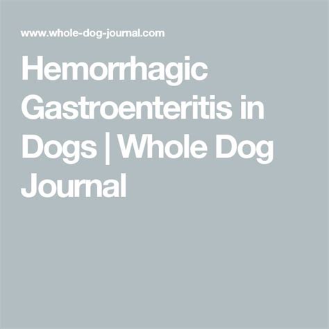 Hemorrhagic Gastroenteritis in Dogs - Whole Dog Journal | Gastroenteritis, Dogs, Fast treatment