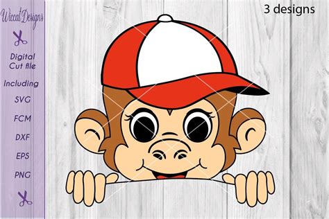 Monkey svg, peekaboo svg, boys shirt svg, funny monkey svg By Wiccatdesigns | TheHungryJPEG