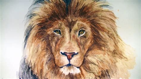 Colored Pencil Realistic Lion Drawing - pencildrawing2019