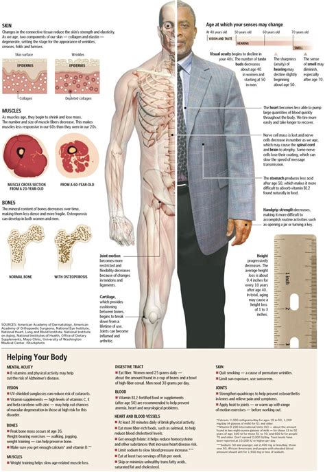 How Our Bodies Age (And What You Can Do About It)