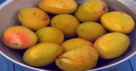 Mango Benefits : आंबे खाण्यापूर्वी पाण्यात बुडवून ठेवणं आवश्यक आहे का? ही आहे खाण्याची योग्य ...