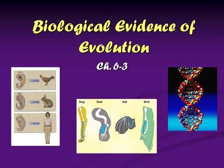 Evidences for Evolution - ppt download