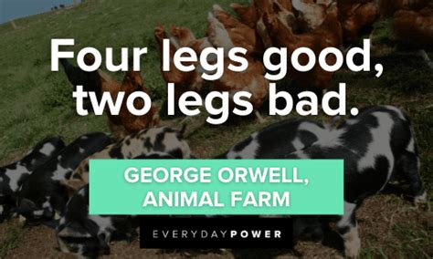 Animal Farm Quotes To Teach You the Power of Too Much Power – Daily ...