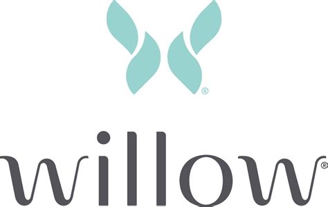 Willow Raises $55M in Series C Funding - FinSMEs