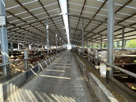 Beef Focus: Meath beef farm finishing 5,000 cattle/year