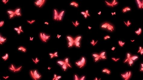 Pink Butterflies With Black Background HD Pink Wallpapers | HD ...