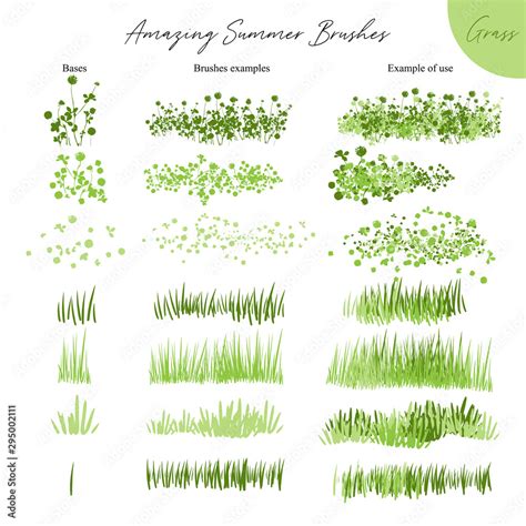 Set of summer vector grass ecology brushes - silhouettes of summer ...