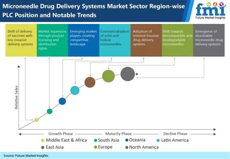 Microneedle Drug Delivery Systems Market: Industry Analysis, Size ...