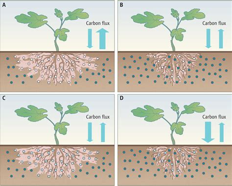 Bad News for Soil Carbon Sequestration? | Science