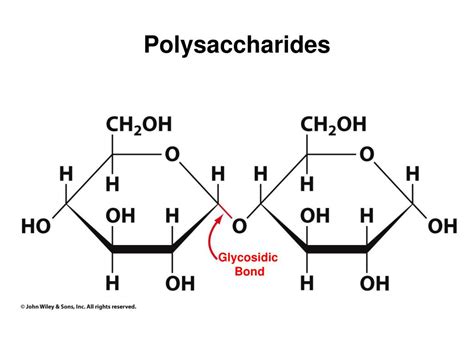 Chemical Structure Of Polysaccharides