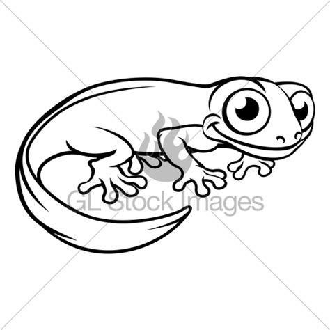 Salamander Drawing | Free download on ClipArtMag