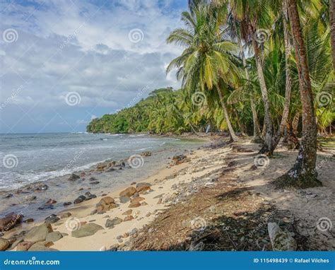 Playa sola imagen de archivo. Imagen de playa, hermoso - 115498439