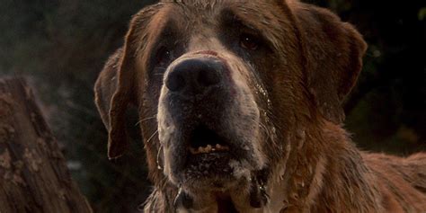 Cujo: 10 Behind-The-Scenes Facts About The Vicious Stephen King Movie ...